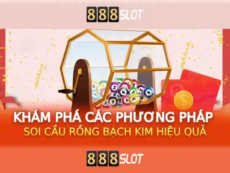 Hỗ trợ và trải nghiệm người dùng