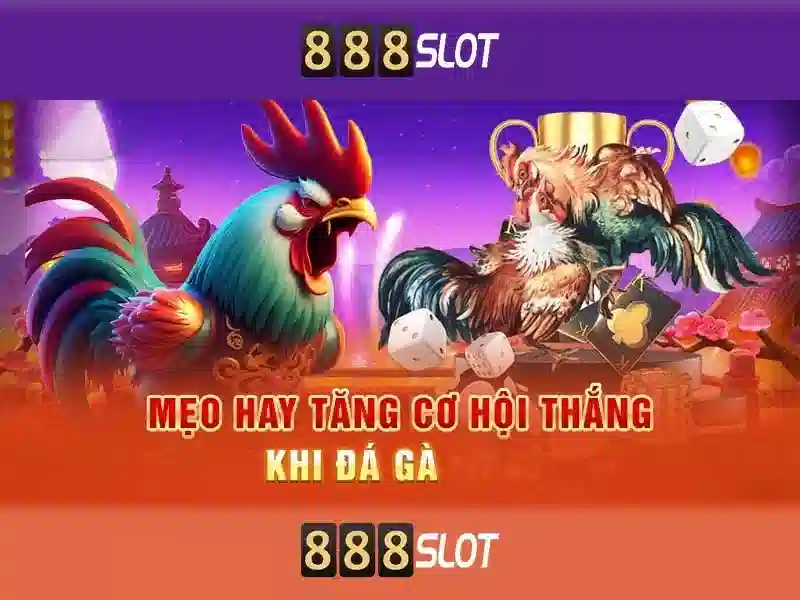 Giao diện nhà cái hoàn hảo