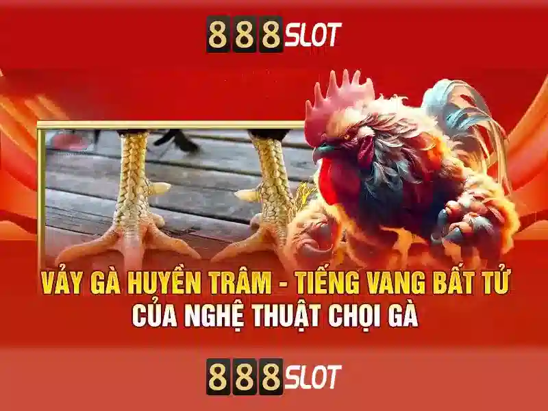 Trải nghiệm người dùng và giao diện