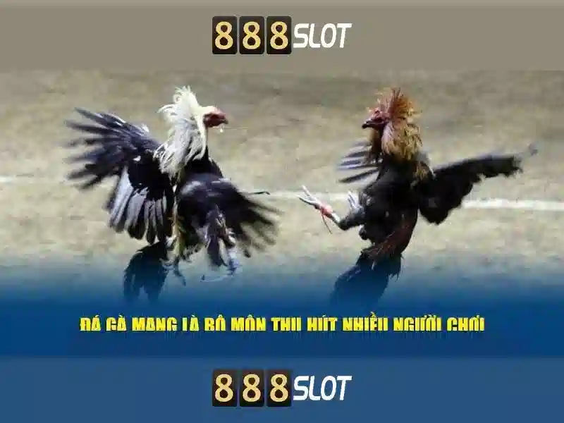 Cách thức thanh toán an toàn và nhanh chóng