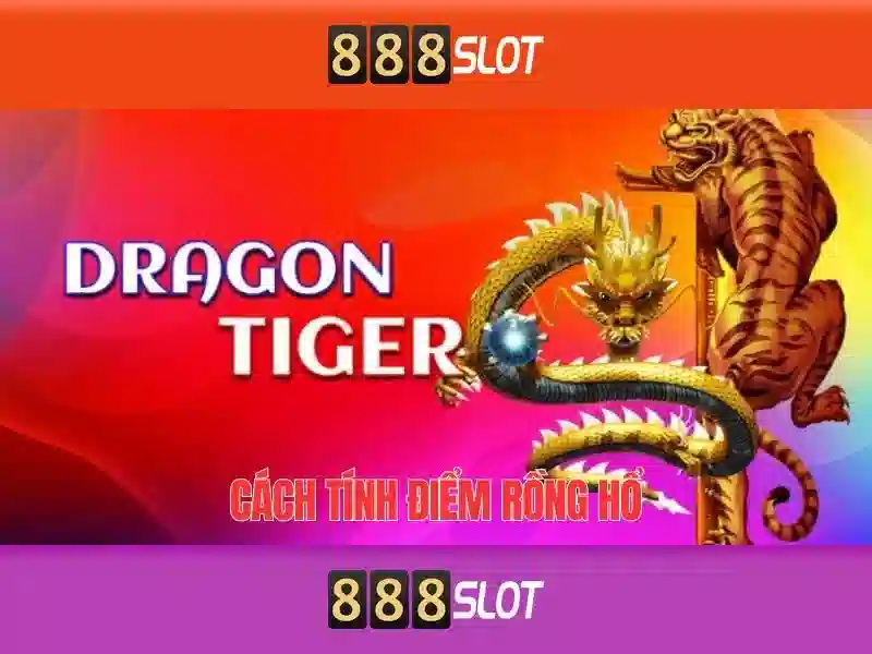 Giao diện và điều hướng người dùng
