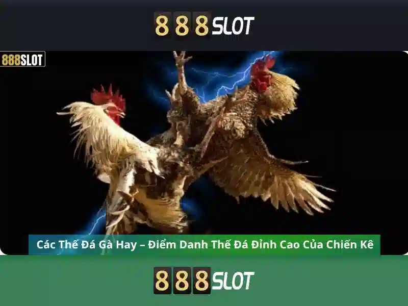 Trò chơi và tính năng