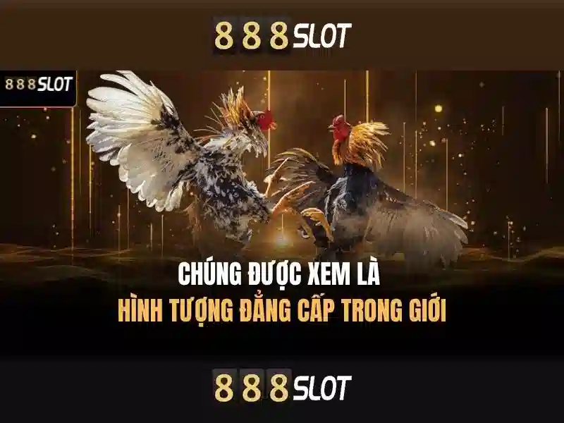 Thanh toán và hỗ trợ người chơi