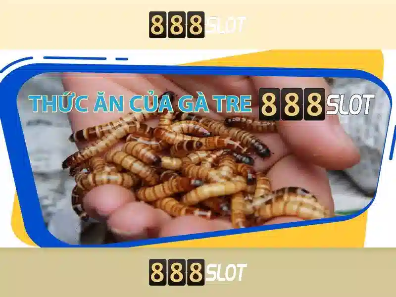Khám phá 888slot: Nền tảng chơi slot trực tuyến Giao diện nhà cái hoàn hảo