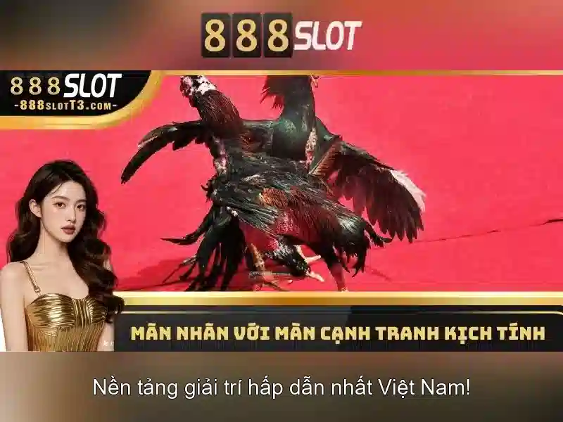 Giao diện nhà cái hoàn hảo