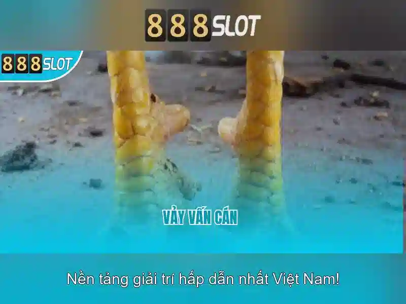 Khuyến mãi và chương trình thưởng