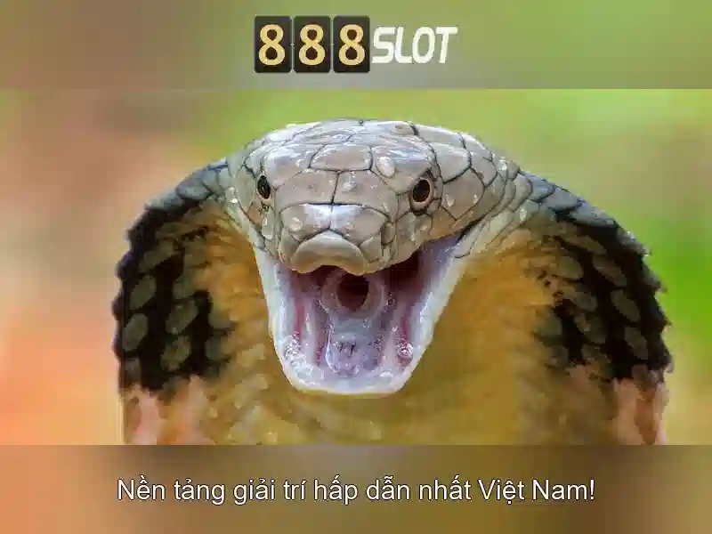 Khuyến mãi và chương trình thưởng