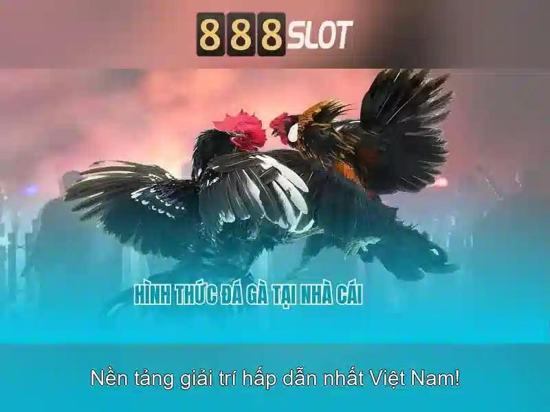 Giao diện nhà cái hoàn hảo